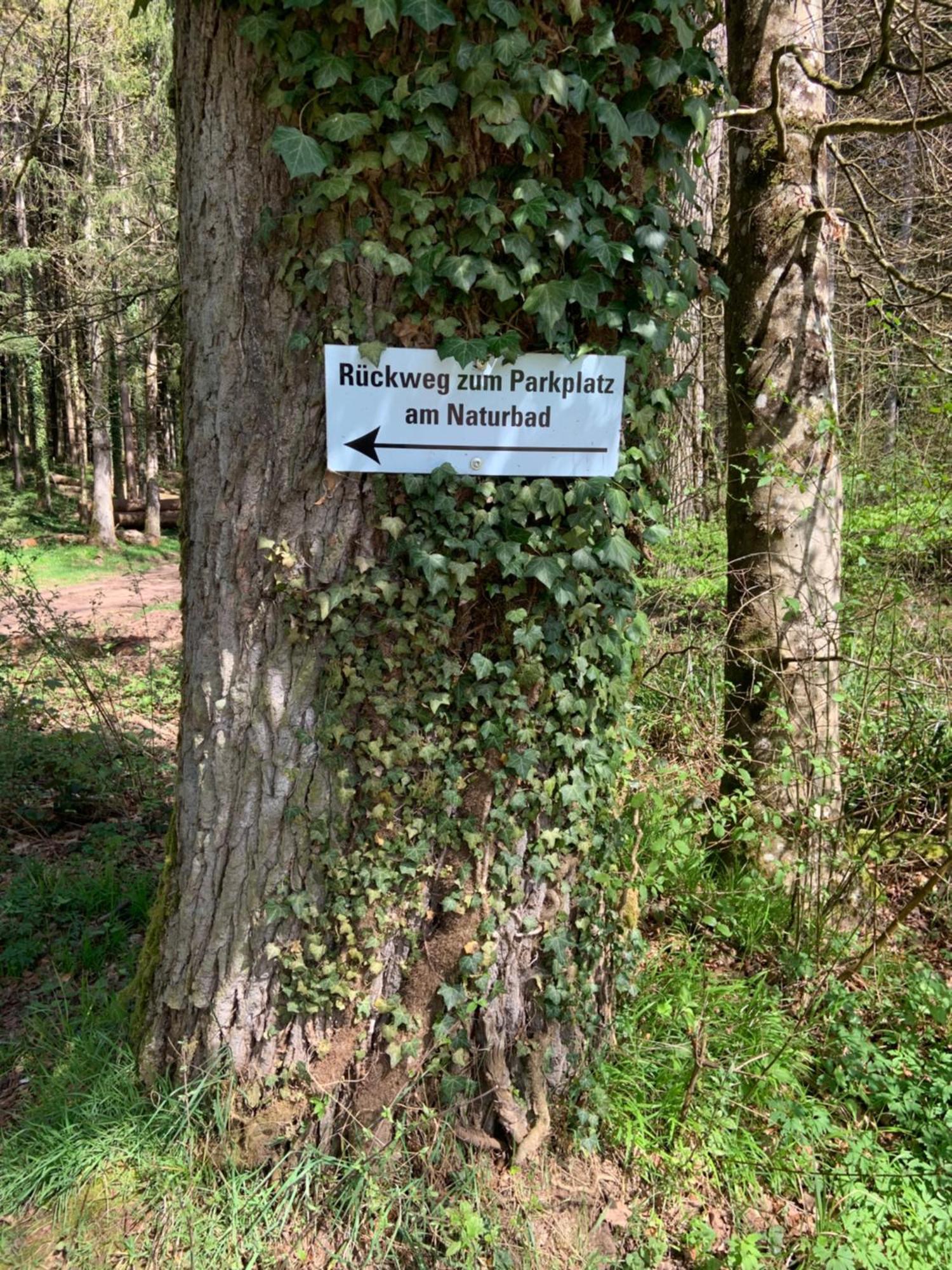 Appartement Sulzbachtal In Lahr, Naehe Europapark, Naehe Rulantica 라어 외부 사진