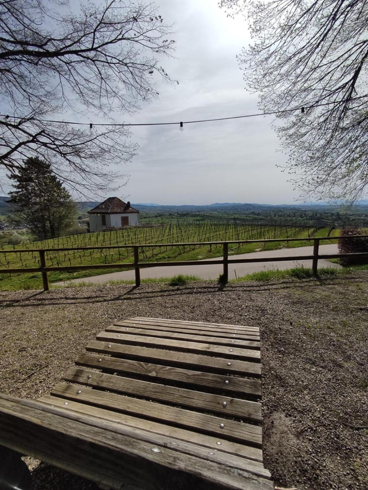 Appartement Sulzbachtal In Lahr, Naehe Europapark, Naehe Rulantica 라어 외부 사진